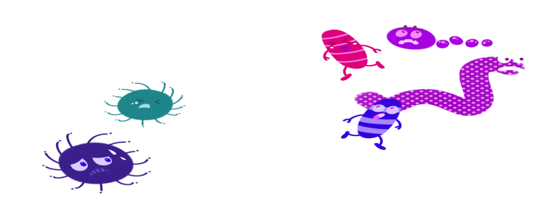 自制万能杀虫水 自制万能杀虫水有用吗