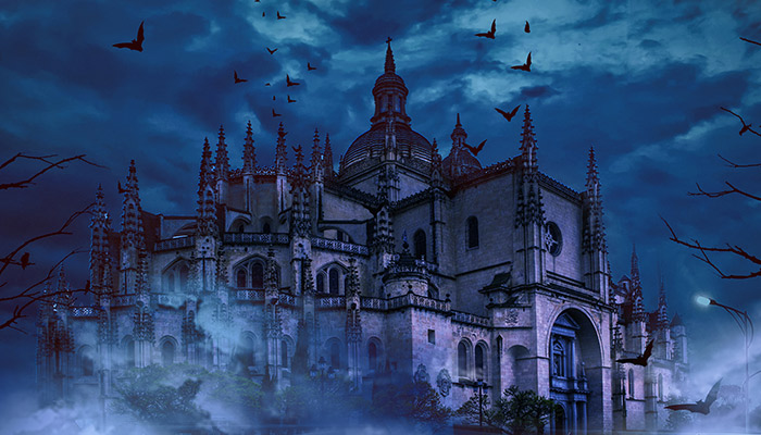 蝙蝠是鸟类吗 蝙蝠是不是鸟类