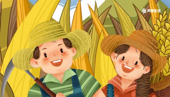 中和节是谁设立的 中和节是什么意思