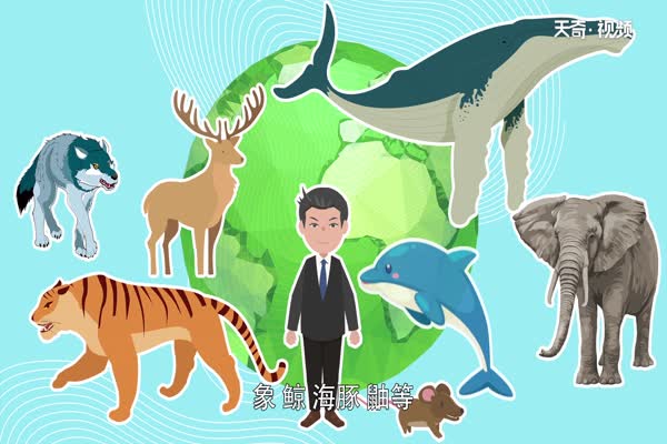 哺乳动物有哪些 哺乳动物的种类