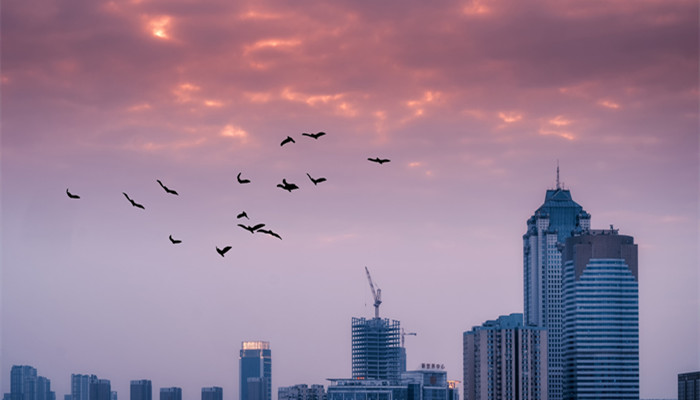 亚热带范围 我国亚热带范围