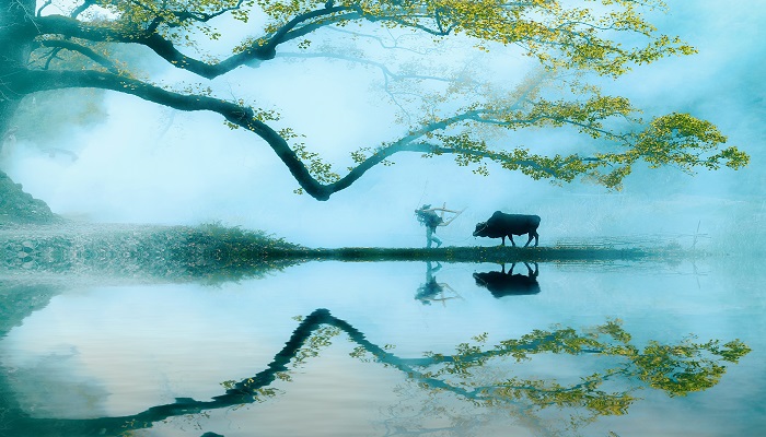 山西免门票的景区名单2020 山西景区免费开放名单