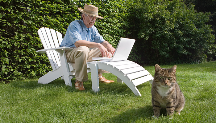 好奇害死猫是什么意思 好奇害死猫的来源