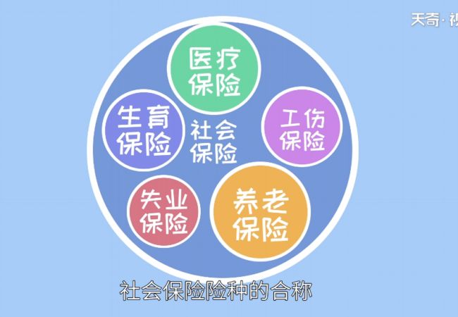 社保和医保的区别