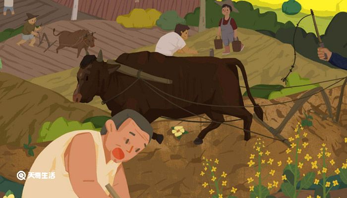 中和节是谁设立的 中和节是什么意思