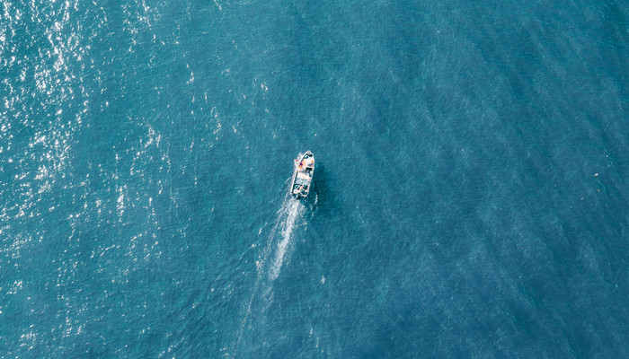 蓝色代表爱情意思 蓝色代表爱情什么意思