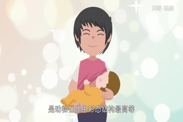 哺乳动物有哪些 哺乳动物的种类