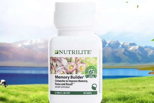 银杏苁蓉片的功效与作用 银杏苁蓉片的禁忌人群