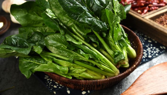 寒露种什么蔬菜适合 寒露适合种什么菜