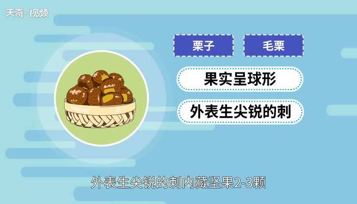 板栗和什么不能一起吃 板栗与什么相克