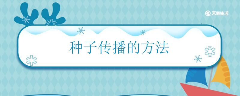 种子传播的方法 植物如何传播种子