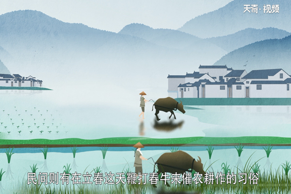 立春是什么意思