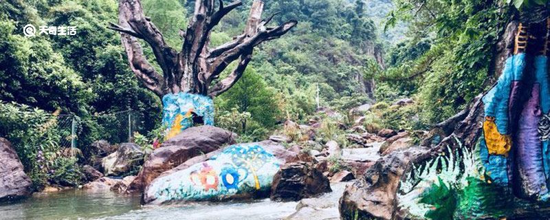 白水寨在哪里 白水寨在什么地方