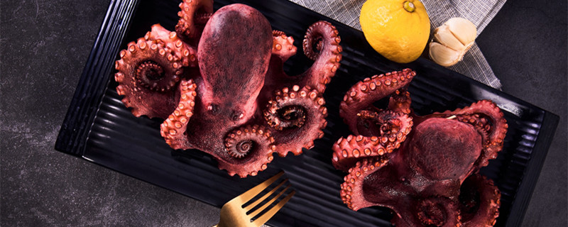 章鱼是两栖动物吗 章鱼到底是两栖动物吗