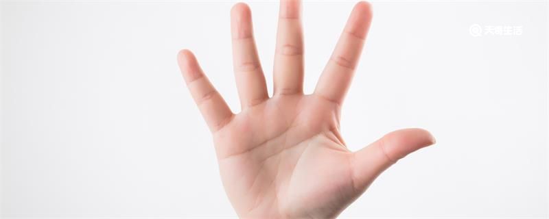 五个手指头分别叫什么 五个手指头分别叫什么指
