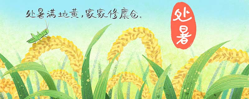 处暑吃什么蔬菜 处暑吃啥蔬菜