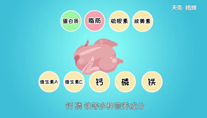 鸡肉是寒性食物吗 鸡肉属于寒性吗