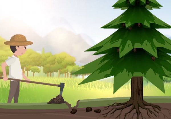 黑松露是什么 黑松露是什么东西