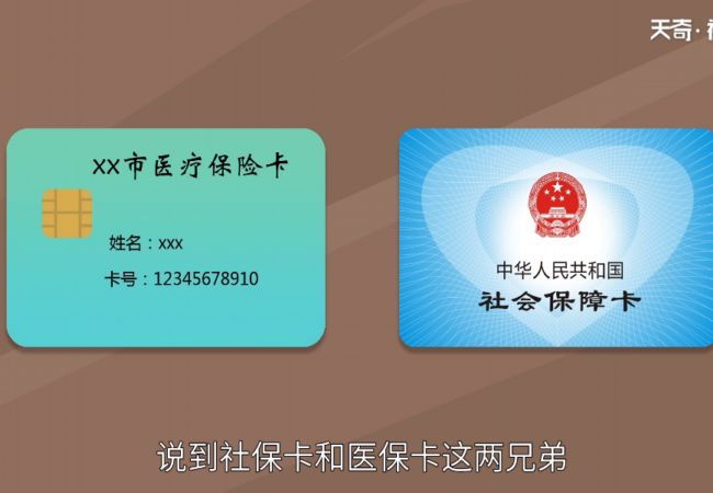 社保和医保的区别