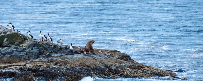 南美洲有哪些国家 南美洲的国家有哪些