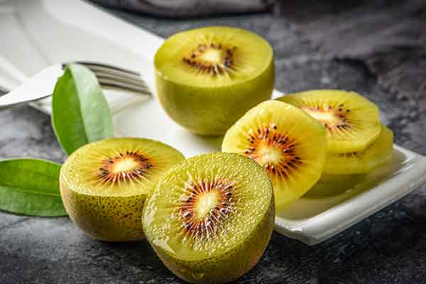 金果的功效与作用 金果的禁忌人群