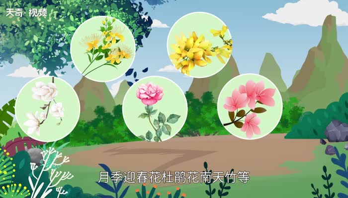 灌木有哪些 灌木种类