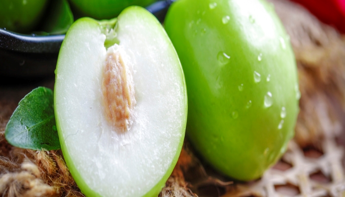 大青枣是哪里的特产 青枣是何地的特产