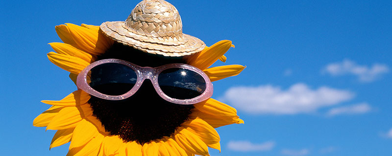 开心一笑幽默笑话 2020开心幽默笑话