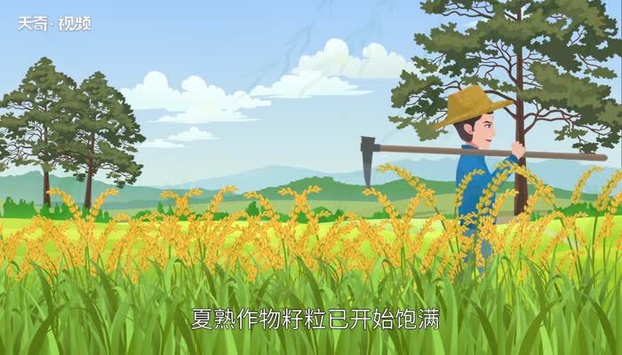 节气小满中的满字是什么意思 小满节气中的满字是什么意思