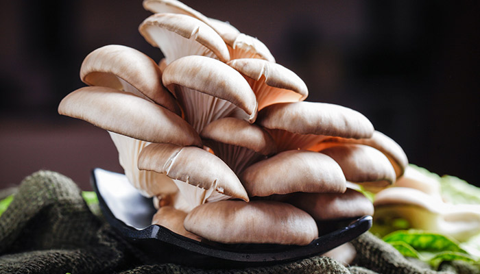 平菇是发物吗 平菇到底是不是发物呢 平菇是发物吗 平菇到底是不是发物呢