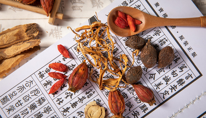 五贝子是什么 五贝子是什么东西