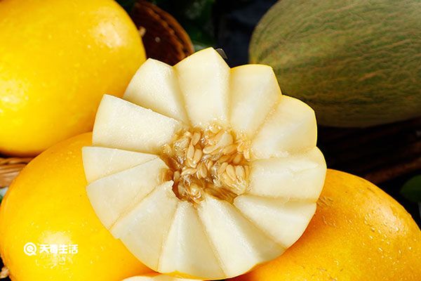 黄河蜜瓜的功效与作用 黄河蜜瓜的功效与作用有哪些