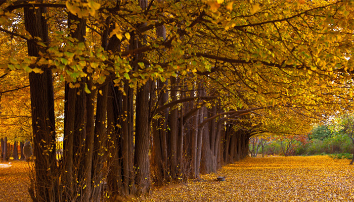 早立秋还是晚立秋有什么说法 早立秋与晚立秋的区别