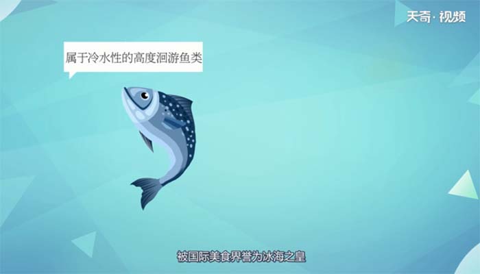 三文鱼有寄生虫吗 三文鱼是否有寄生虫