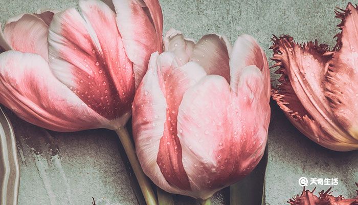 适合自己生日发的唯美句子 致自己生日霸气的句子