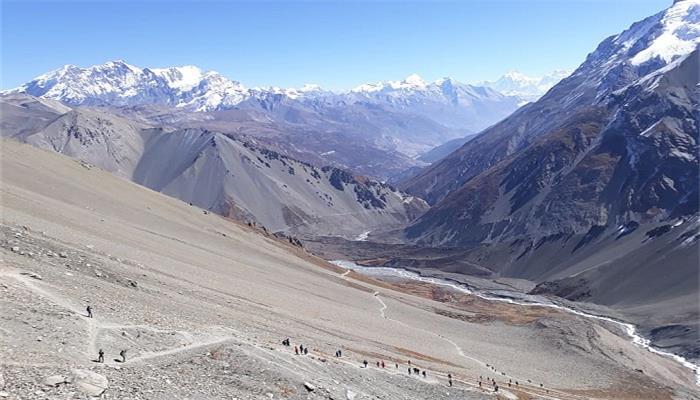 珍珠岩是什么 珍珠岩的定义