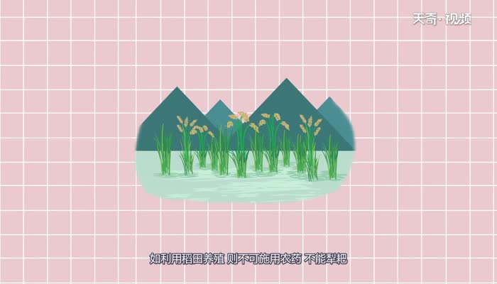 螺蛳是胎生还是卵生 螺蛳是胎生还是卵生