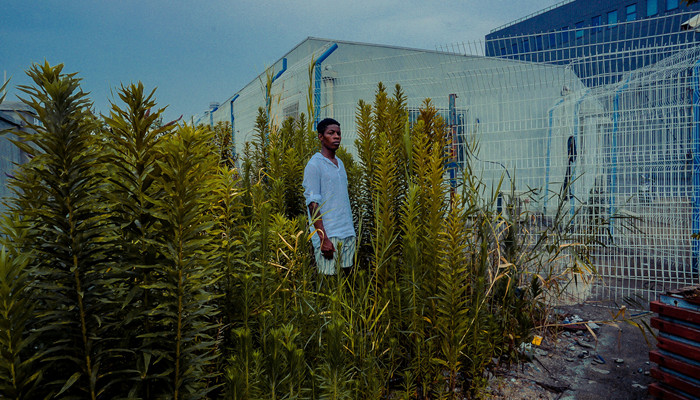 什么是媚黑 媚黑是指什么意思