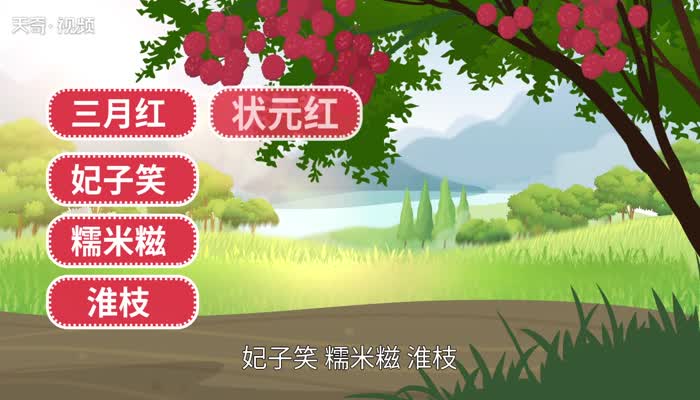 荔枝品种 荔枝都有哪些种类