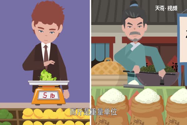 5磅是多少斤 5磅等于多少斤