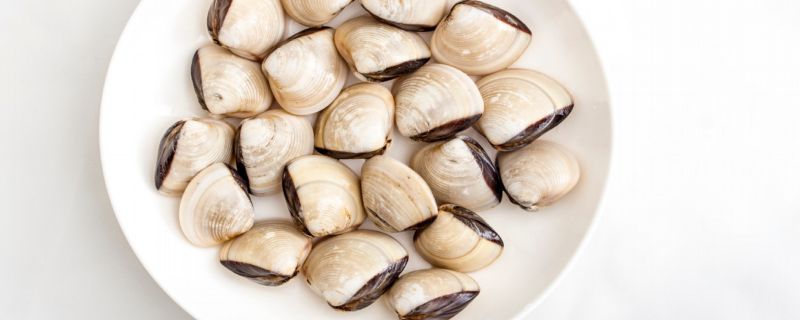 白贝为什么比花甲便宜 白贝比花甲便宜的原因