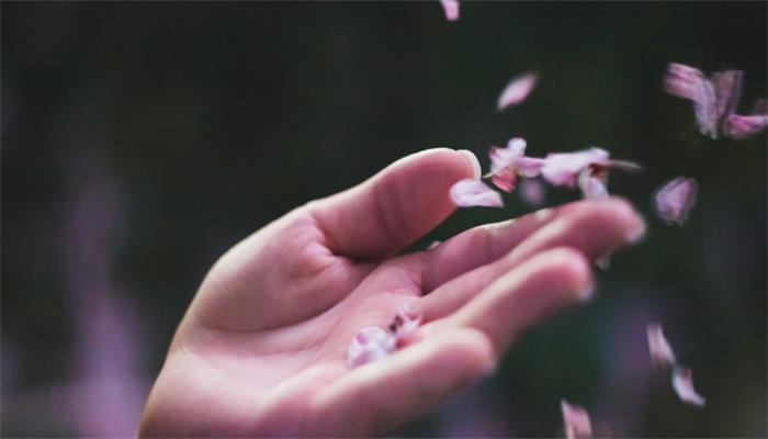 花有重开日人无再少年什么意思 花有重开日人无再少年指的是什么