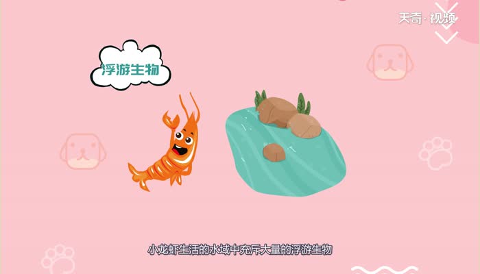 小龙虾有寄生虫吗 小龙虾有没有寄生虫
