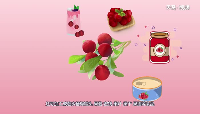 杨梅有核吗 杨梅有没有核呢