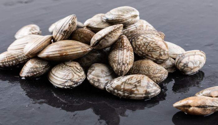 白贝为什么比花甲便宜 白贝比花甲便宜的原因