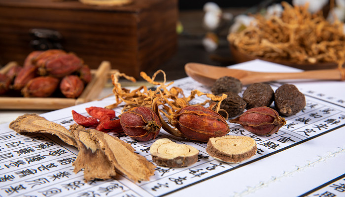 五贝子是什么 五贝子是什么东西