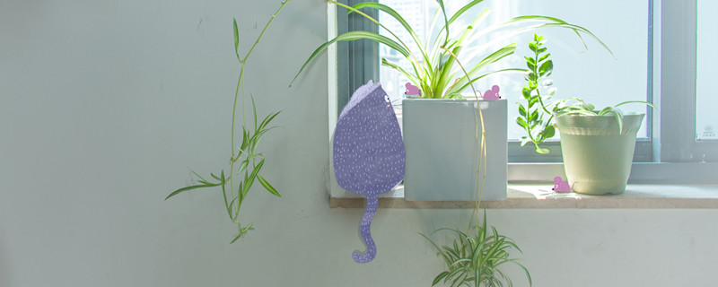 除甲醛植物 除甲醛的植物有哪些