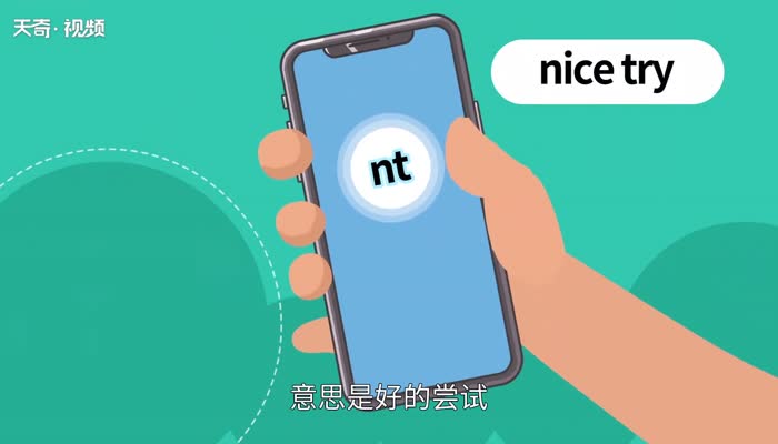 nt是什么意思 nt的意思
