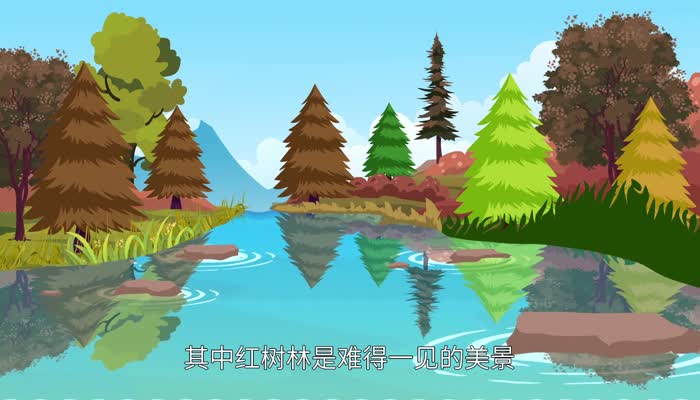 广州湾在哪里 广州湾在什么地方