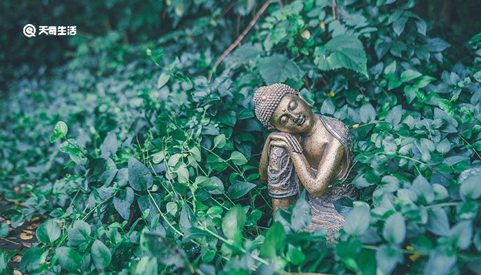 佛教起源于何地 佛教起源于哪里